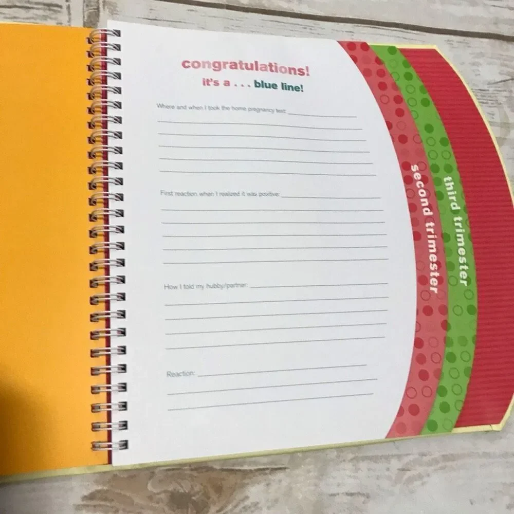 The Belly Book A Nine Month Pregnancy Journal‎ Scrapbook